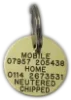 Medium-Dog-Tags-Brass-Round