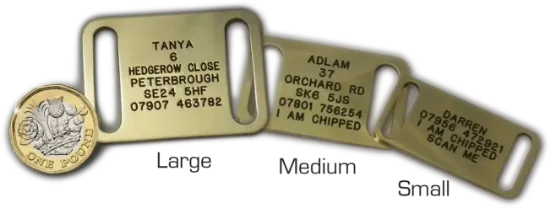 Dog-Collar-Pet-Tag