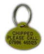Yellow-Oval-Plastic-Dog-Tag