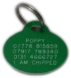 Green-Oval-Plastic-Dog-Tag