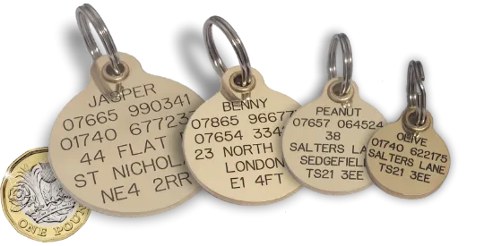Picture of Round Brass Reinforced Dog Tag