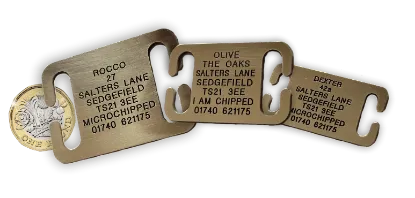 Picture of Open Ended Collar Brass Dog Tags