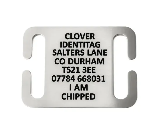 Picture of Stainless Steel Collar Dog ID Tag (Large)