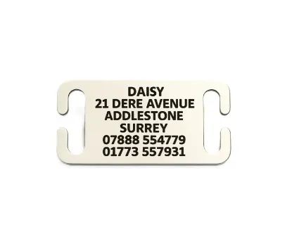 Picture of Stainless Steel Collar Dog ID Tag (Small)