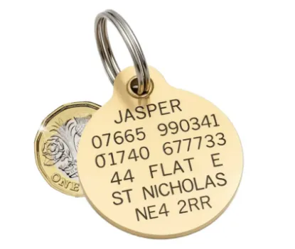 Picture of Large Brass Reinforced Round Pet Tags 