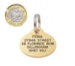Picture of Brass Oval Dog ID Tag (Medium)
