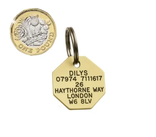 Picture of Brass Octagonal Pet Tag (Small)