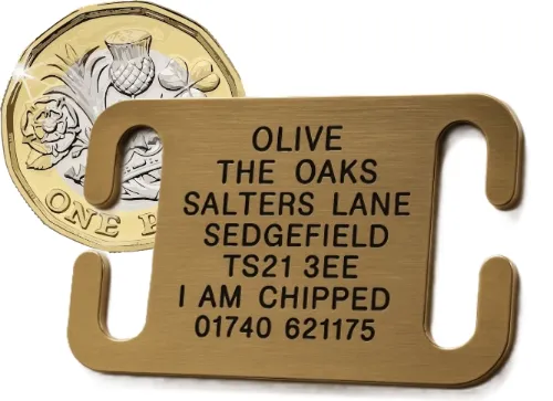 Picture of Open Ended Collar Tag Medium