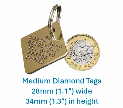Picture of Brass Diamond Dog Tag (Medium)