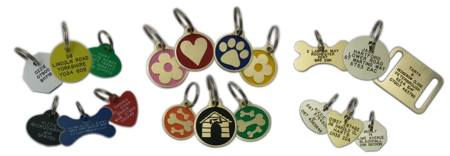 Dog tags Images 